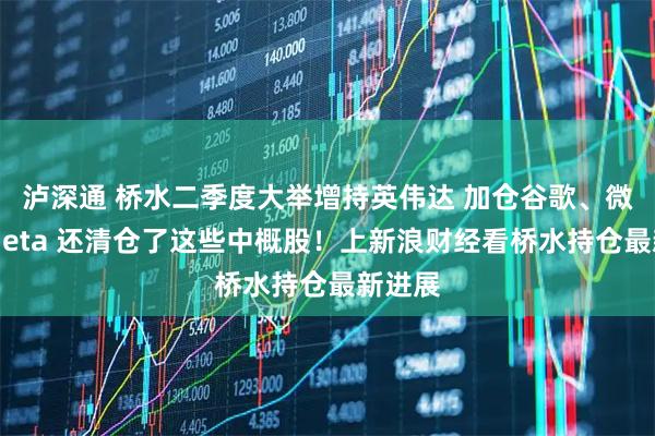 泸深通 桥水二季度大举增持英伟达 加仓谷歌、微软、Meta 还清仓了这些中概股！上新浪财经看桥水持仓最新进展