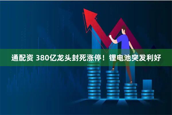 通配资 380亿龙头封死涨停！锂电池突发利好